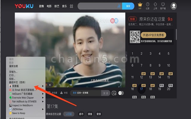 爱奇艺、优酷土豆、芒果、腾讯、搜狐等VIP会员视频Chrome解析工具