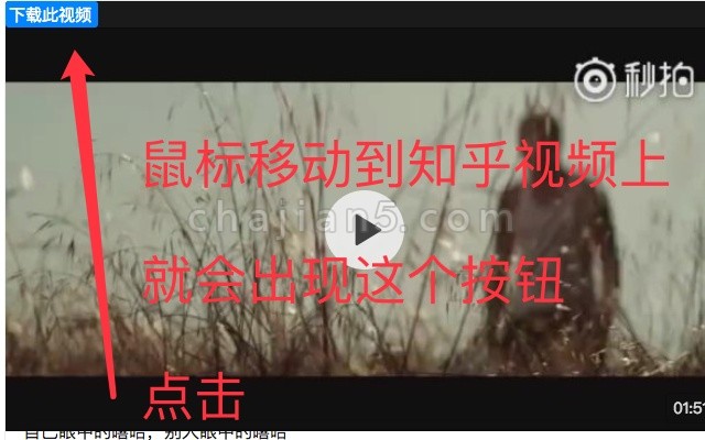 鼠标移动到知乎视频上显示下载按钮的Chrome插件乎视
