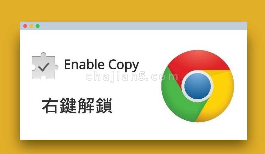 Enable Copy v6.0.0.0（破解网页复制的插件）