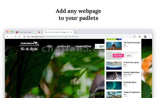 Padlet Mini-实时协作建站工具Chrome浏览器插件