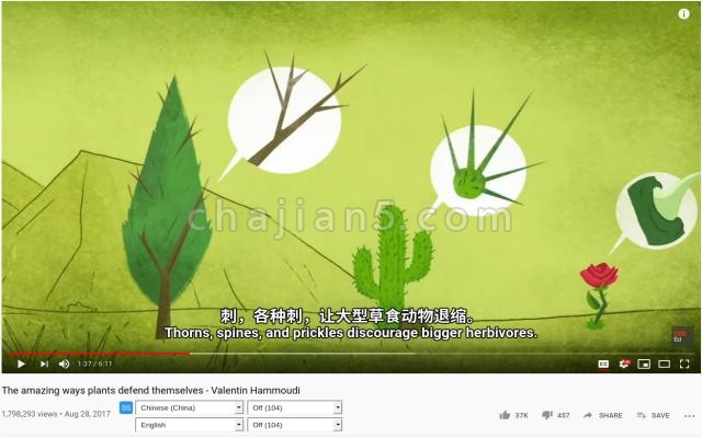 Dualsub 看Youtube的时候显示双语字幕