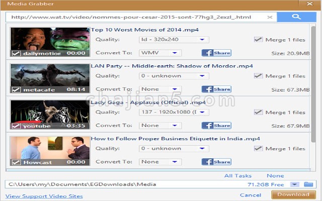 EagleGet Free Downloader 下载管理器