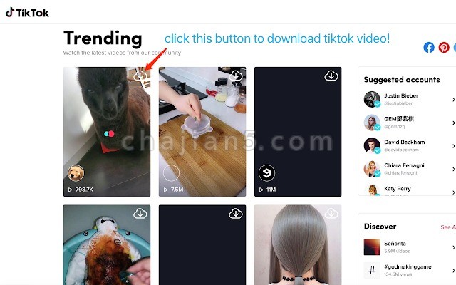 Tiktok downloader 从抖音国际站TikTok下载视频