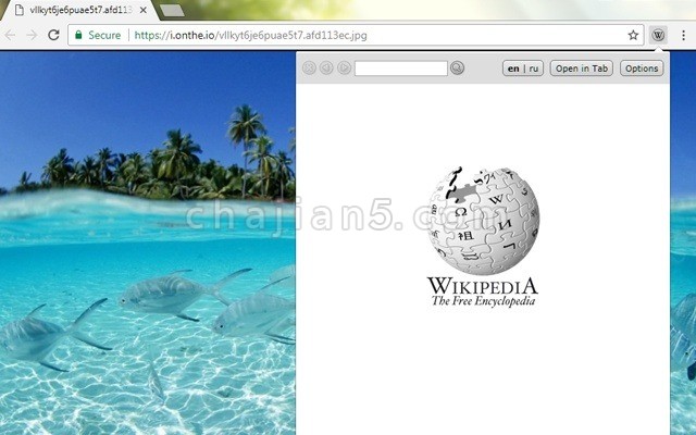 Lookup Companion for Wikipedia(Fixed version)维基百科用户必备扩展