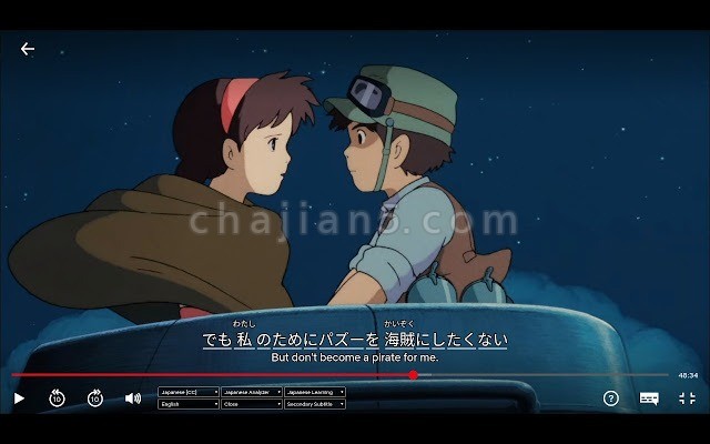 Netsub Netflix 双语字幕插件