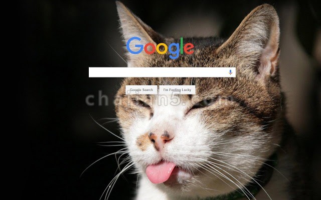 Backgrounds Every Day给Google主页和Gmail自定义背景图