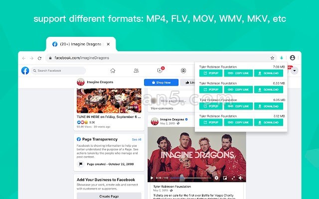 Video Downloader for Web 网页流媒体视频下载插件