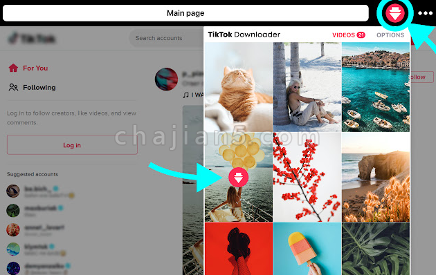 TikTok Downloader 抖音国际版下载视频