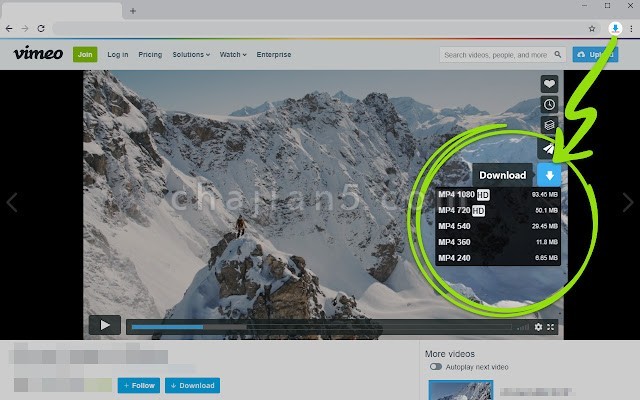Vimeo 视频下载器（一键从 vimeo.com 下载视频 支持嵌入的视频）