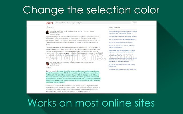 Selection Colors 更改网页选择文字后的颜色和背景色