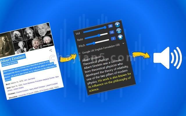 Slang 把网页上选中的文字转成语音