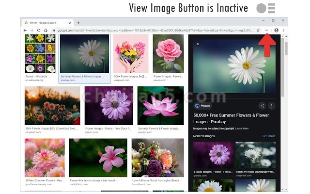 View Image Button v0.1.4.0（谷歌图片搜索查看图片按钮）