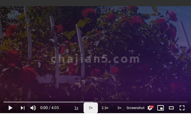 Screenshot YouTube v2.4.1.0（油管视频截图插件）