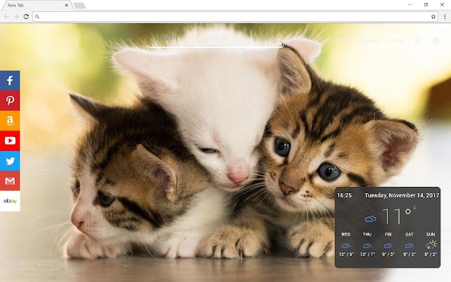 Cats New Tab Page v2.2.7.0（融合高清猫壁纸的新标签页插件）