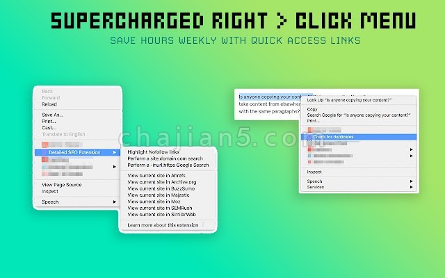 Detailed Seo Extension 查看网页元数据等seo信息