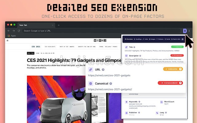 Detailed Seo Extension 查看网页元数据等seo信息