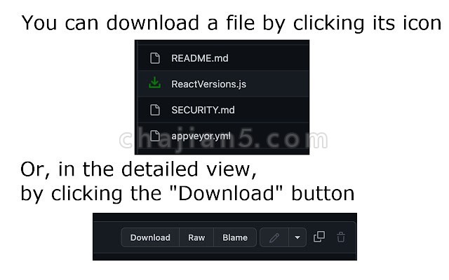 GitHub Downloader 从GitHub 下载单个文件的工具