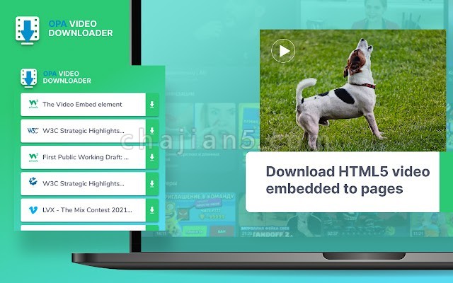 Opa video downloader v0.2.3.0（HTML5视频下载工具）