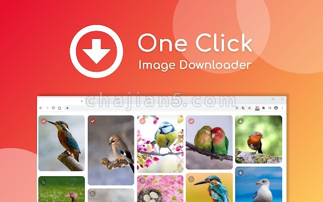 One Click Image Downloader 给网页上的图片添加一个下载按钮