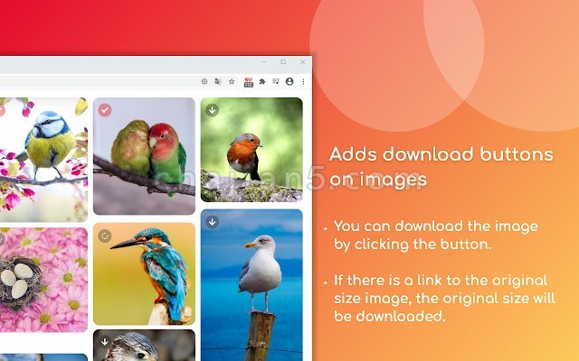 One Click Image Downloader 给网页上的图片添加一个下载按钮