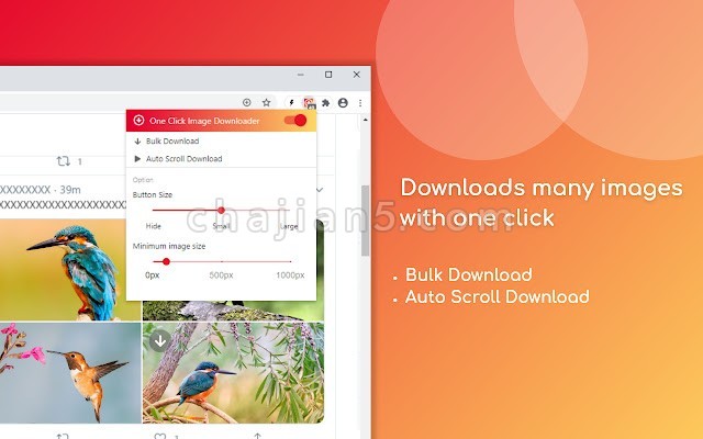 One Click Image Downloader v1.3.0.0（给网页每张图片加一个下载按钮）