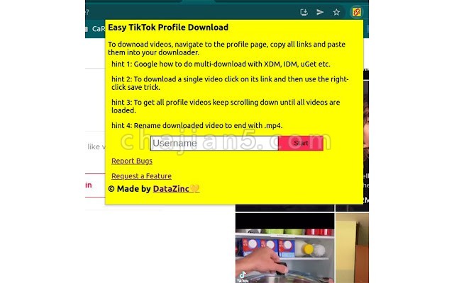 Easy TikTok Profile Download 提取喜欢的视频和个人资料视频链接方便下载