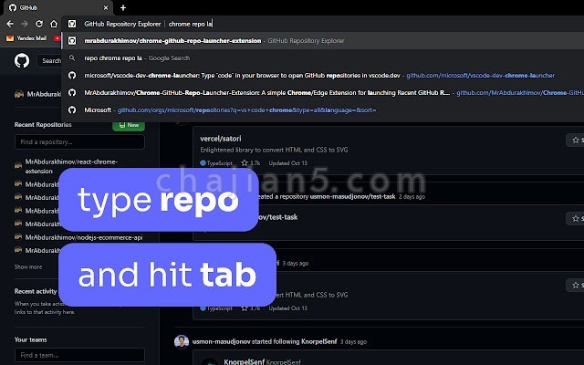 GitHub Repository Explorer 访问github项目历史记录 支持搜索