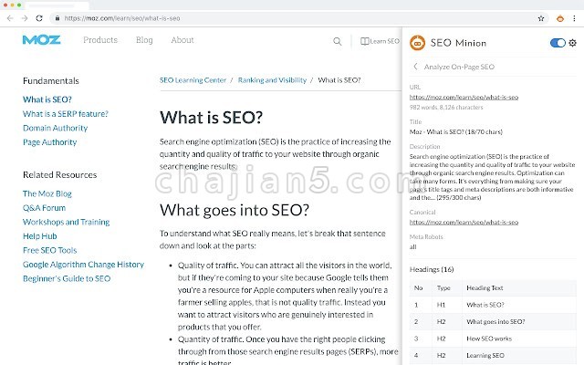 Seo Minion