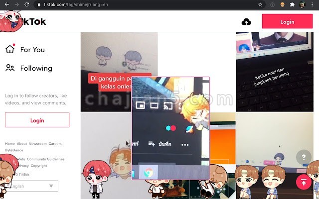 Shimeji Browser Extension v2.0.3.0（趣味小插件）