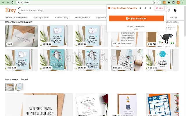 Etsy Reviews Extractor 把etsy平台商品的评论数据抓取出来 导成表格csv