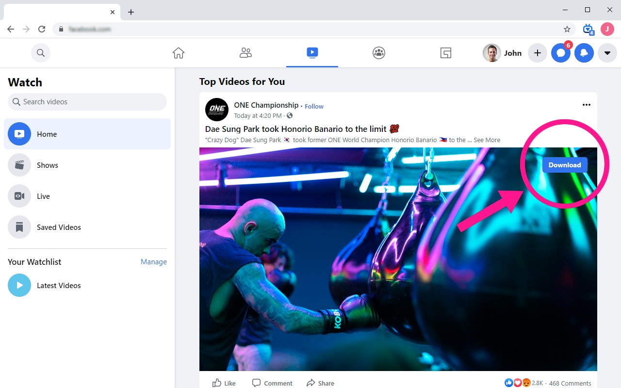 Video Downloader For Facebook 下载脸书视频 包括公共和私有视频